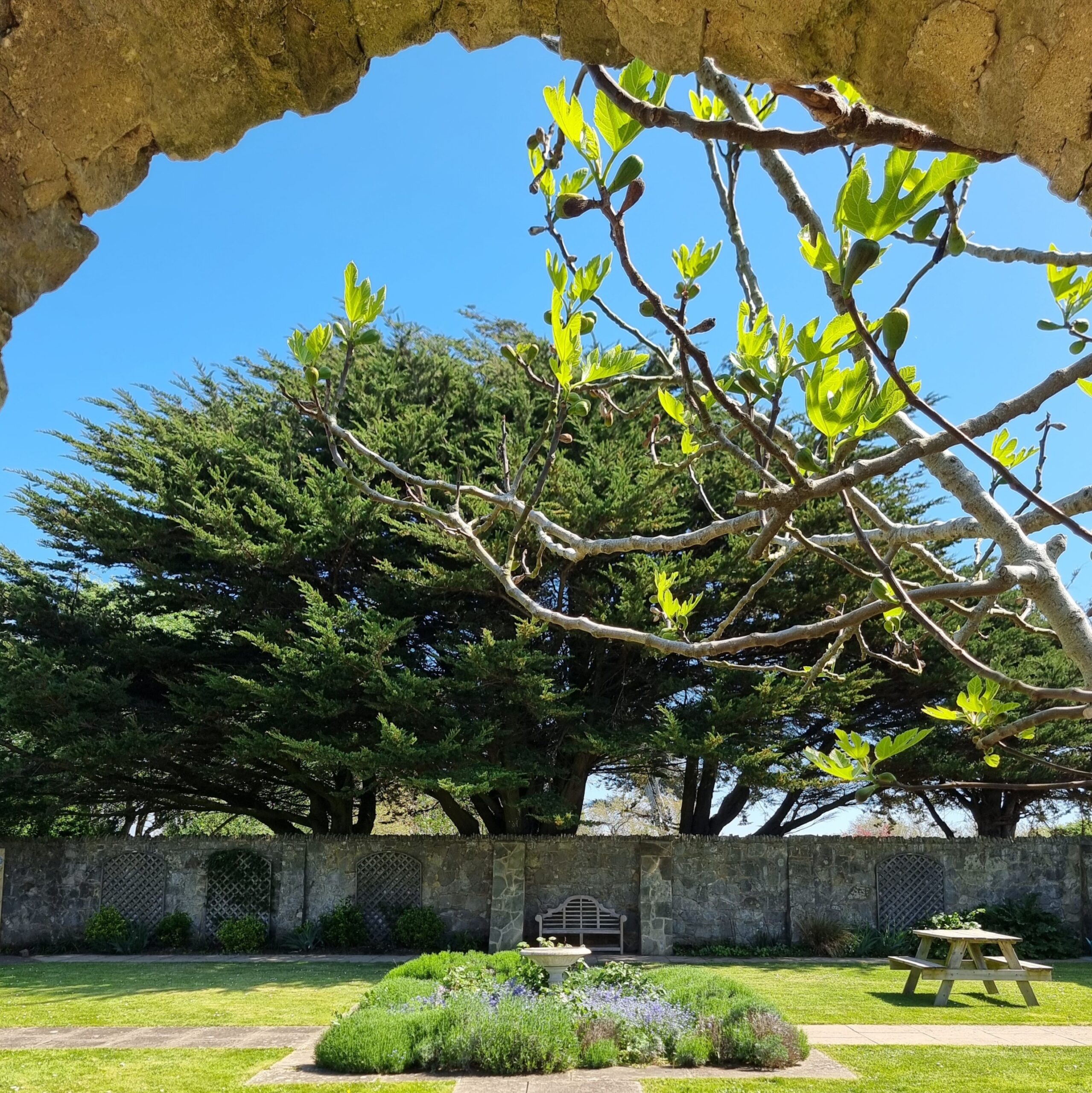 Yoga Retreat with Cheryl Rivers